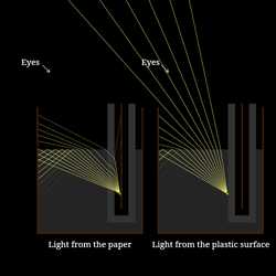"Black cat becomes white" demo